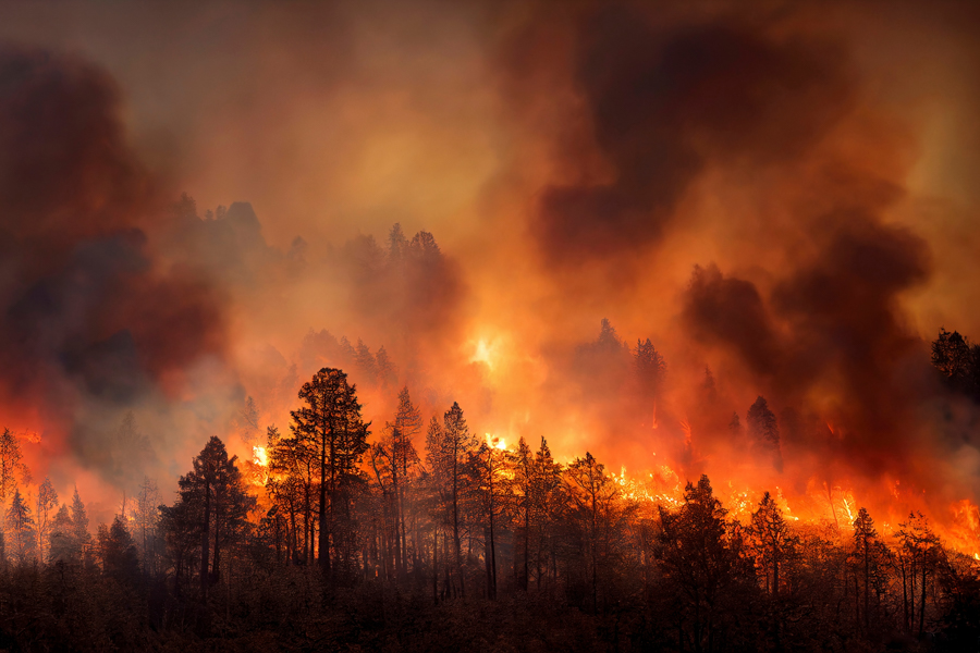 Hills on fire during a wildfire