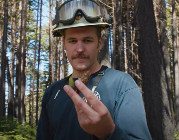 A CAL FIRE forester holds up a seedling