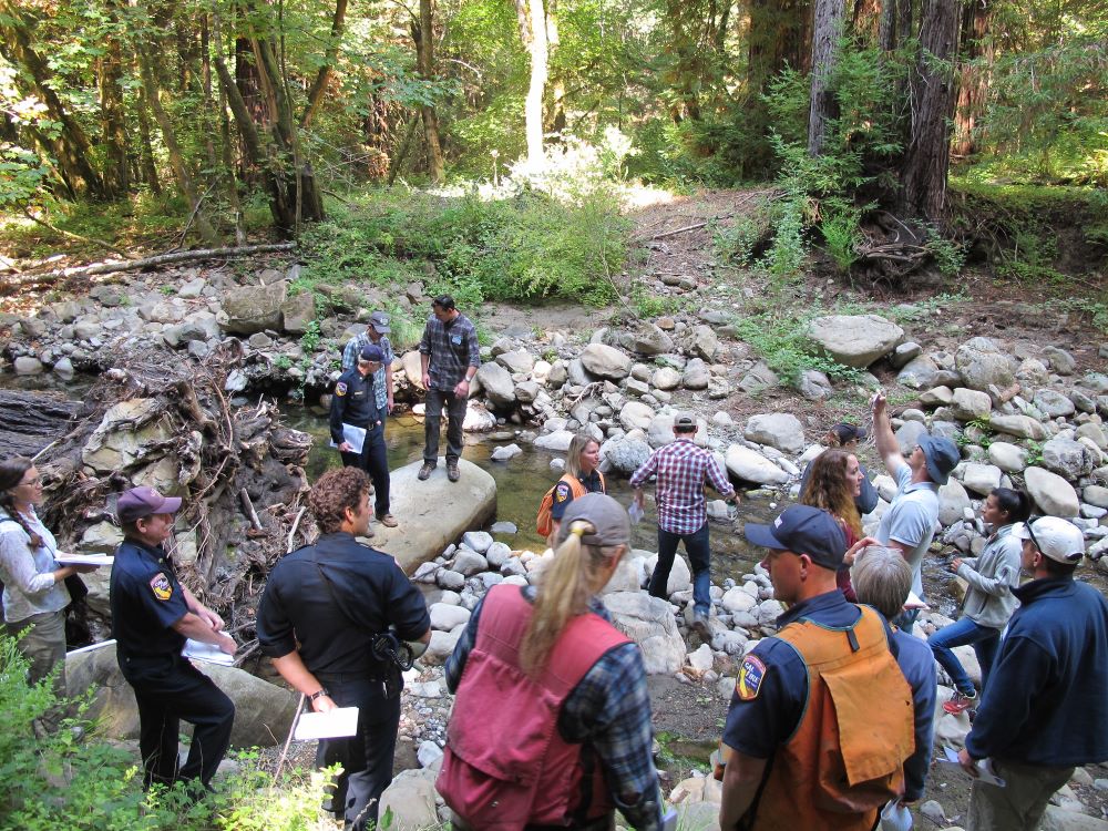 A group of visitors exploring the Soquel demonstration state forest