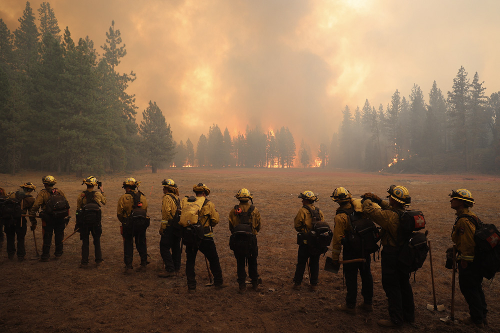 Cal Fire crew in a line watching a wildfire in the distance