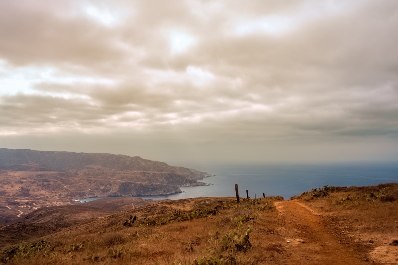 California Rangeland