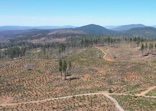 Ariel view of the boggs demonstration state forest. 