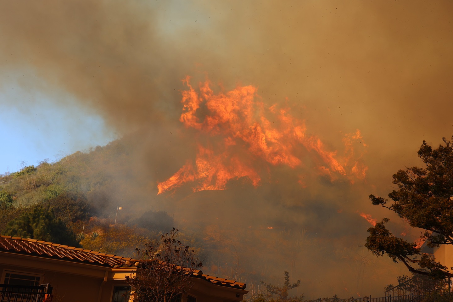 A hillside burns during the Pallisades fire