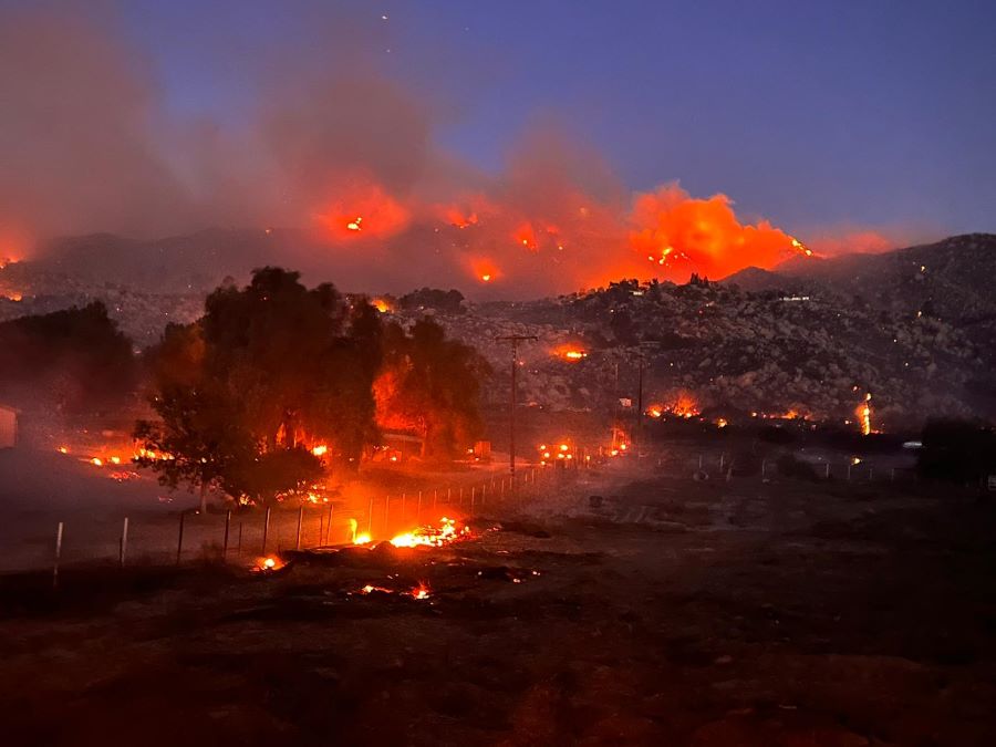 fire on hillside