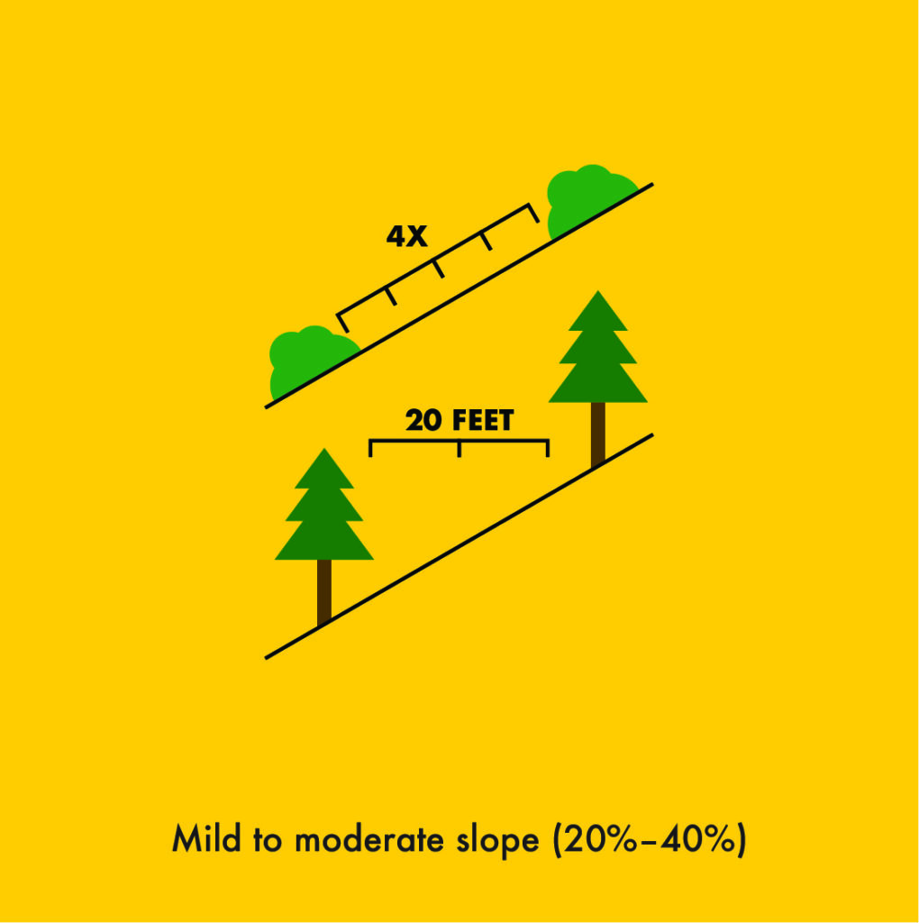 Mild to moderate slope needs 4x space between bushes and 20 feet between trees