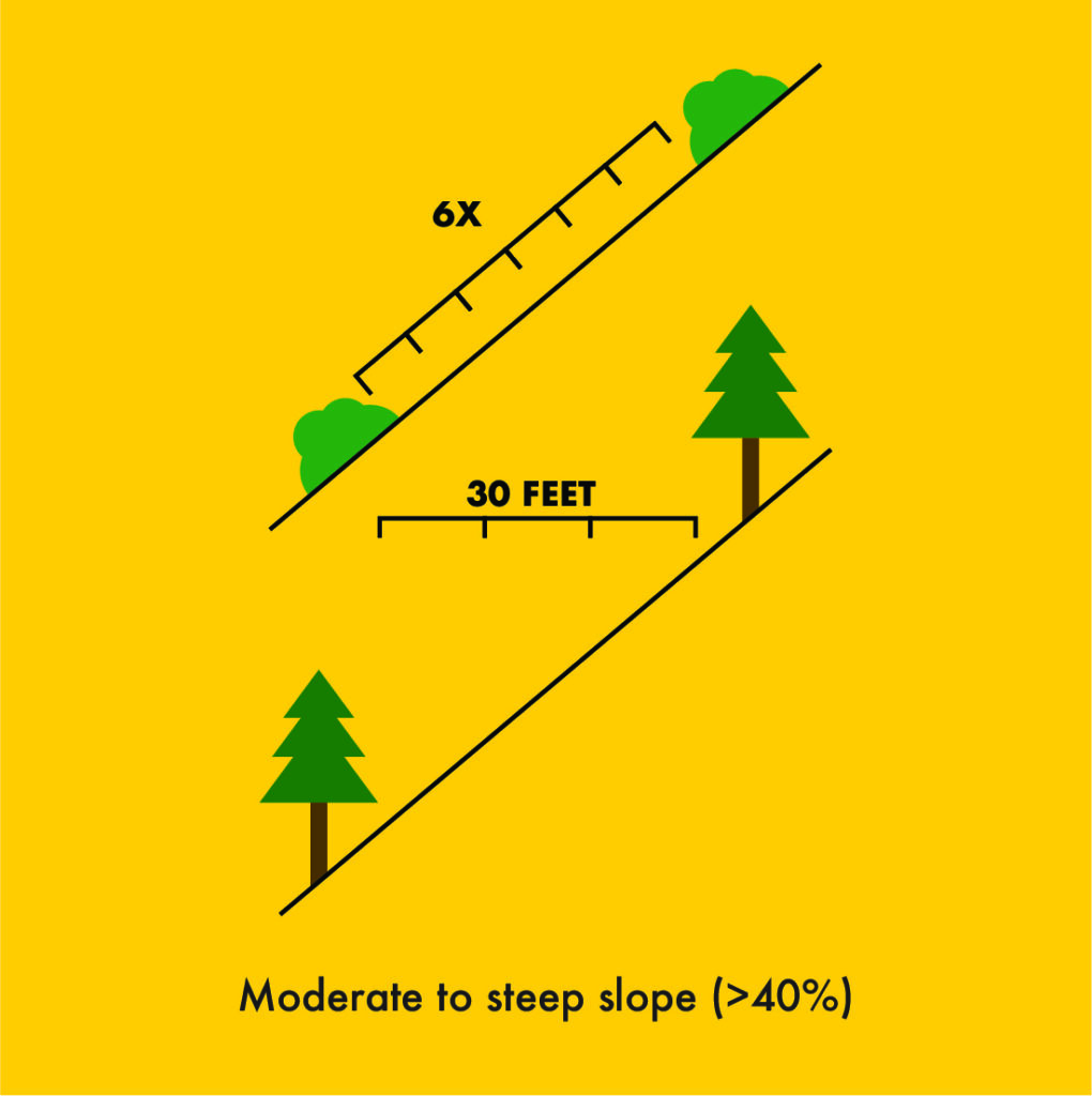 Moderate to steep slope needs 6x space between bushes and 30 feet between trees