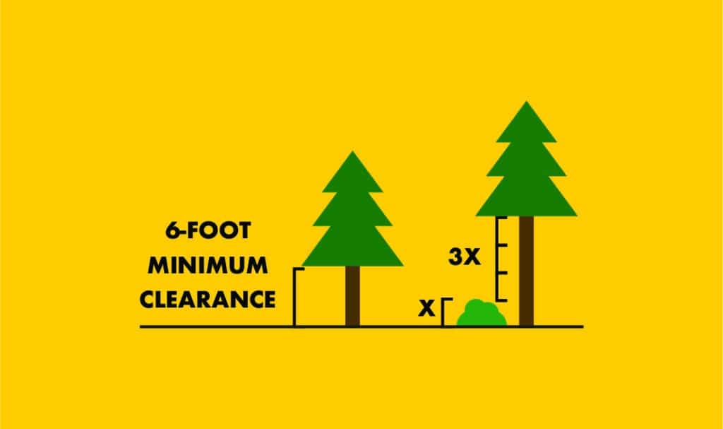 Six foot min clearance to lowest branches