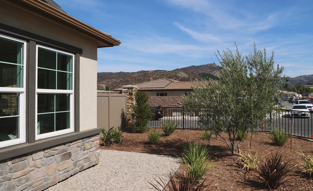 backyard with window