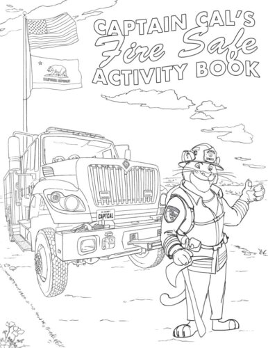 Activity book