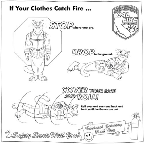 Captain CAL stop, drop, and roll social media graphic