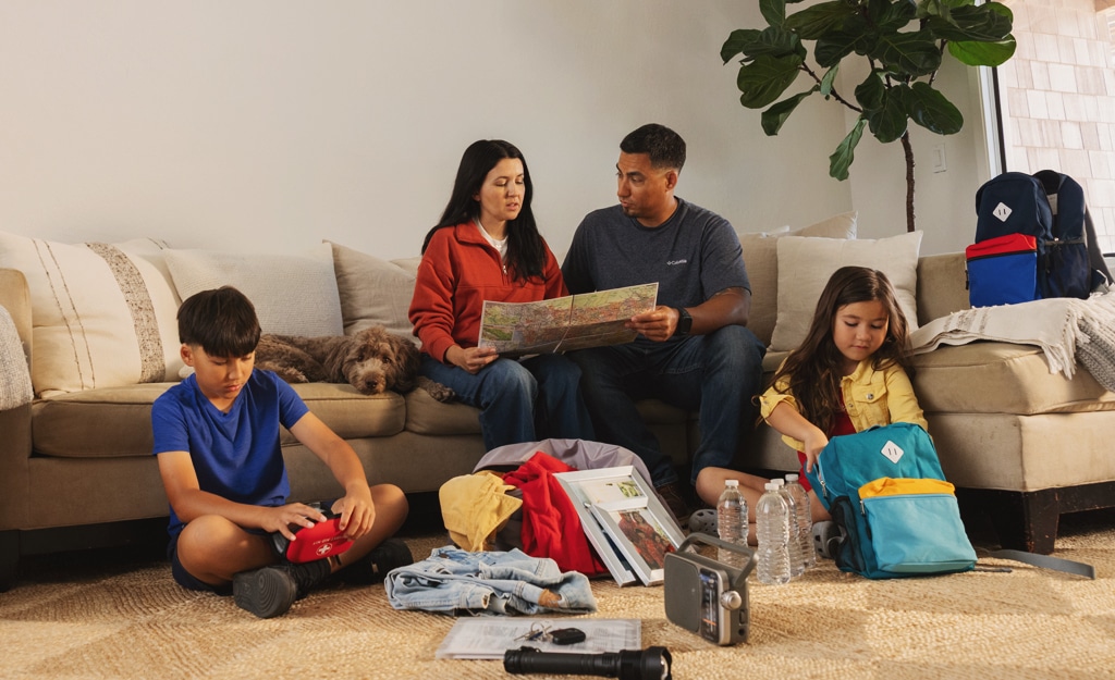 Wildfire Action Plan