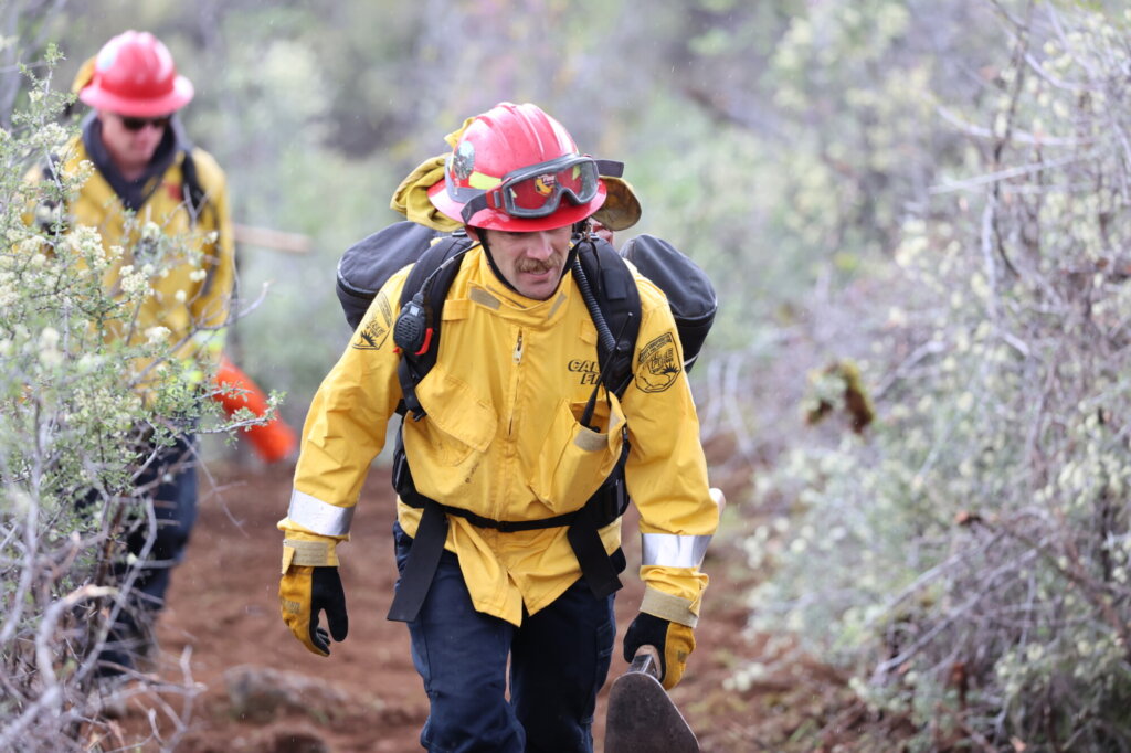 Volunteers in forest